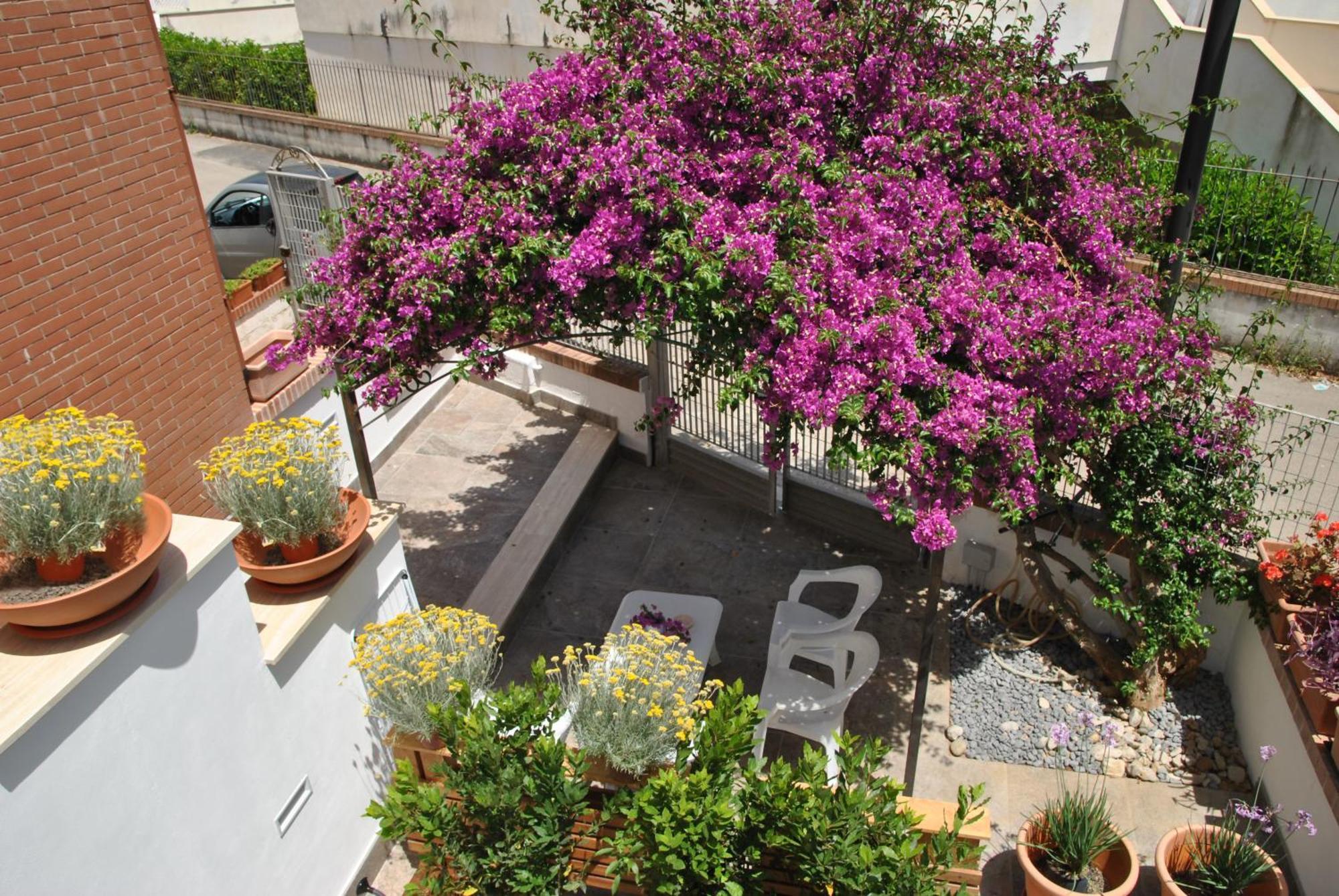 La Bouganville A 200 M Dal Mare Sperlonga Exterior photo